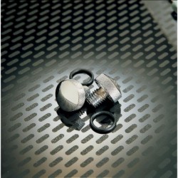 Chromowane śruby montażowe do siedzenia Harley Davidson / PE DS490046