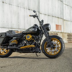 Złote manetki Arlen Ness Harley-Davidson - rolgaz linkowy / ARLEN 07-337 HD