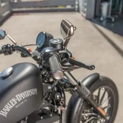 Tytanowe manetki Arlen Ness Harley-Davidson - rolgaz linkowy / ARLEN 07-338 Sportster